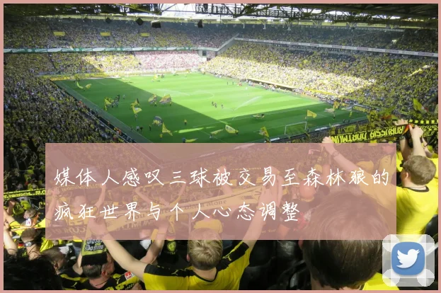 媒体人感叹三球被交易至森林狼的疯狂世界与个人心态调整